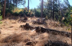 Mariposa Drive, Pierpoint Springs, CA 93265