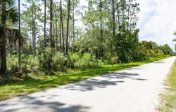 5669 Mango Avenue, Bunnell, FL 32110