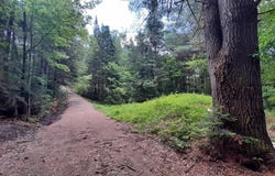 Route 155, Weston, VT 05161