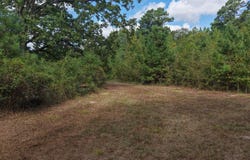 County Road 3209, DeKalb, TX 75559