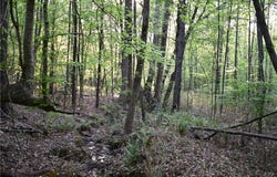 00004 Windridge Lane, Temple, GA 30179