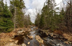 Christman Road, Cold Brook, NY 13324