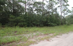 Britton Drive lot: 4, Panacea, FL 32346