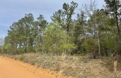 Goose Platter Road, Monetta, SC 29105