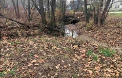 811 N Daisy Drive, Ellettsville, IN 47429