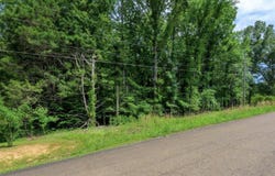 1 BEECH Loop lot: 1, Somerville, TN 38068