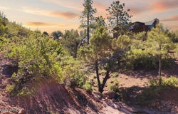 55 FOXTAIL Circle, Pine, AZ 85544