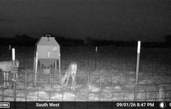 State Highway 70, Dickens, TX 79229