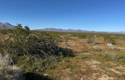 Pearson Road, Pearsonville, CA 93527