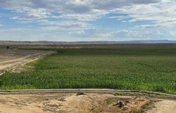 Lane 23, Byron, WY 82412