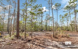 5250 Lossing Road, Coden, AL 36523