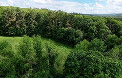 Brooks Pond Rd (Large Parcel), Spencer, MA 01562