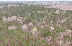 000 Gibson Loop, Starks, LA 70661