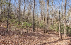 Adayahi Court, Brevard, NC 28712