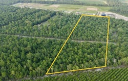 Charleston Highway, Williston, SC 29853