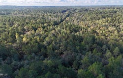 Lee Avenue, Hattiesburg, MS 39401