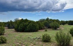 85 Co Rd 8128, Concho, AZ 85924