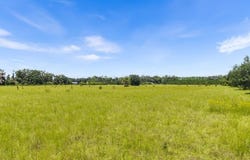 NW 30th St, Chiefland, FL 32626