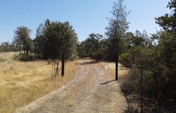 NSA Dersch Road, Shingletown, CA 96088