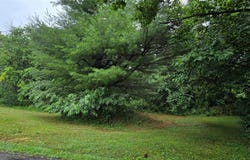 # Calvin Drive, Marlboro, NY 12542