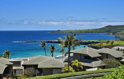 100 Ridge Rd, Lahaina, HI 96761