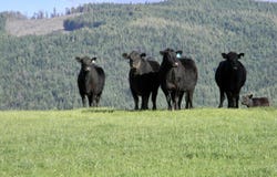 2000 Park Rd., Deary, ID 83823