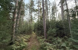 3379 Hehir Trail, Grayling, MI 49738