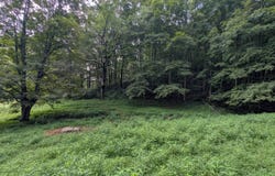 Stevens Branch Rd, Londonderry, OH 45647