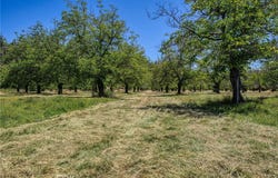 1286 Pitney Lane, Upper Lake, CA 95485