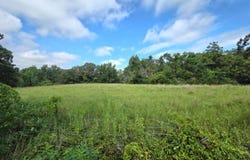 25.8 Ac Brewer & Harmon Rd., Batesville, MS 38606