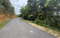 Plana, Isabela, PR 00662
