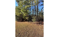 Big Horse Drive, Waynesville, GA 31566