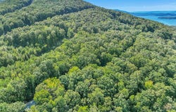 Browbend Drive, Guild, TN 37340
