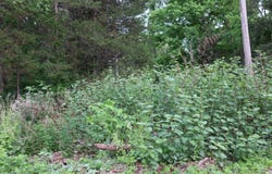 Route 23, Cairo, NY 12058