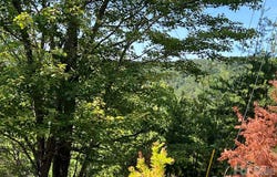 Brighton Drive, Bostic, NC 28018