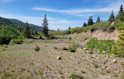 Braffits Creek Lot 61&62, Brian Head, UT 84719