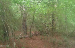 Will Glenn Road, Smithville, MS 38870