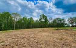 .88 Acre County Road 825, Scottsboro, AL 35768