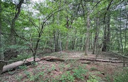Flat Iron Road, Hunt, NY 14846