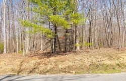 118 ROTHFIELD CIRCLE, SHADY SPRING, WV 25918