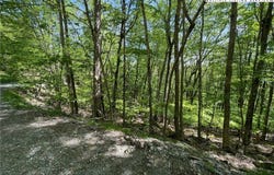 234 Lakeledge Road, Beech Mountain, NC 28604