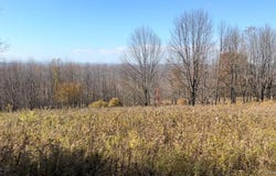 Chaffee Road, Liberty, NY 12754
