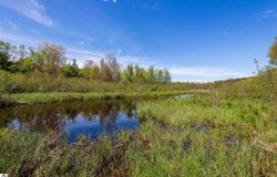 Makinen Road, Kaleva, MI 49645