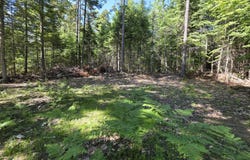 458 Point Road, Otis, ME 04605