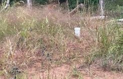 21030 Cemetery Road, Grantsburg, WI 54840