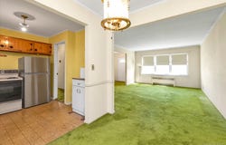 58 Elm Street, Hicksville, NY 11801