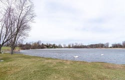 26902 SANDY HILL, Lyon Twp, MI 48165
