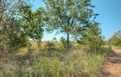 E 3390 Road, Chandler, OK 74834