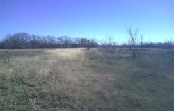 Tract 1 CR 1750, Chico, TX 76431