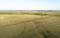 870 Rd, Dixon, NE 68732